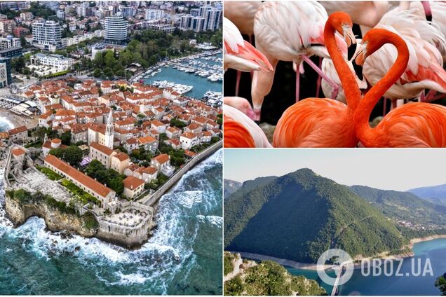 15 удивительных фактов о Черногории, которые покажут страну с другой стороны