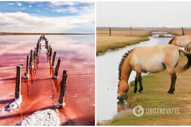 Пустыня, ветряки и розовые озера: 5 мест в Херсонской области, которые нужно посетить. Фото