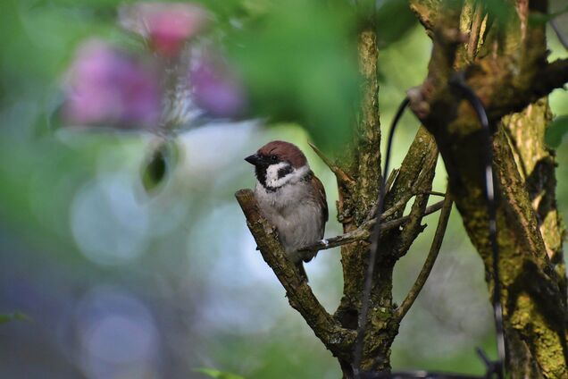 18 червня: свята, прикмети й іменинники