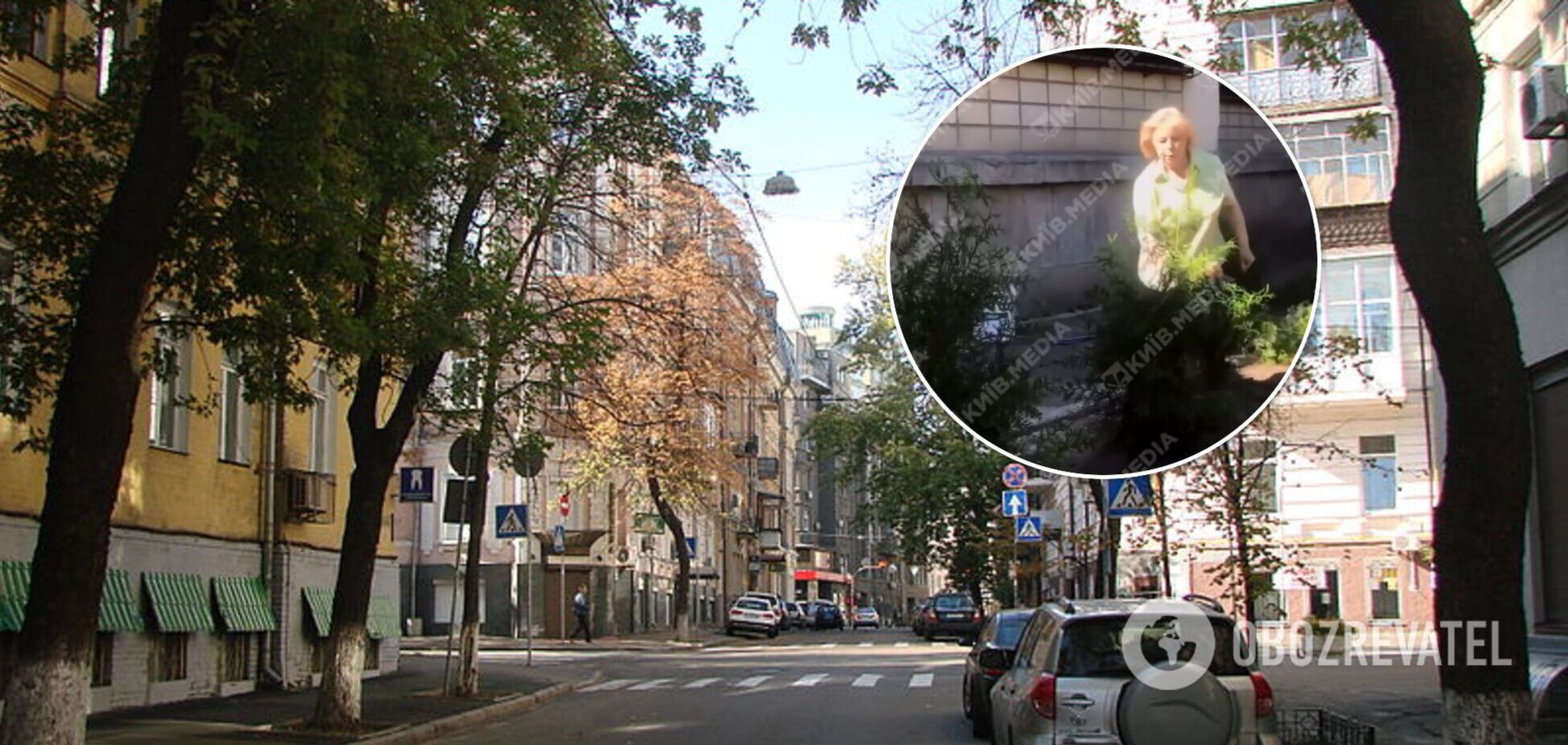 В центре Киева женщина уничтожила кусты, которые высадили сотрудники кафе