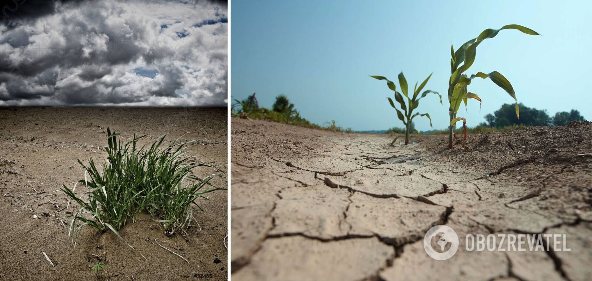 Стране грозит опустынивание обширных территорий