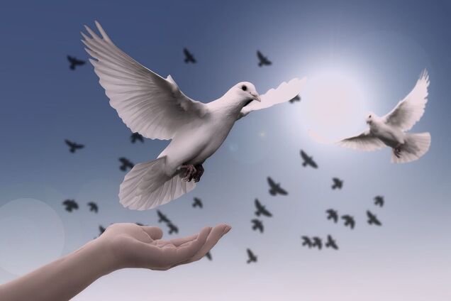 21 июня: праздник, приметы на Федора Колодезника и именинники