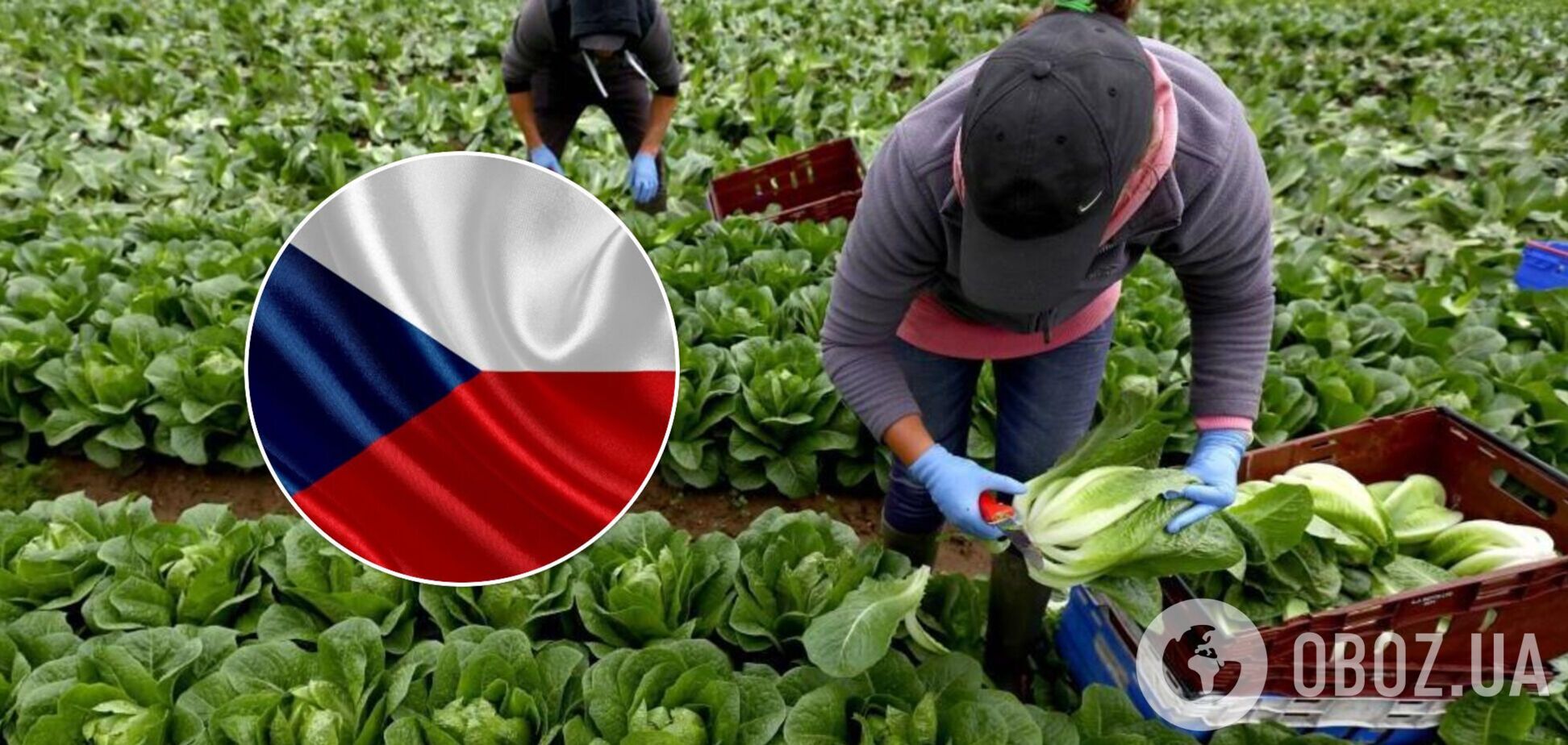 Українських заробітчан звуть на роботу в Чехію