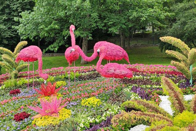 В Киеве на Певческом поле 'поселились' огромные животные, сделанные из цветов. Фото