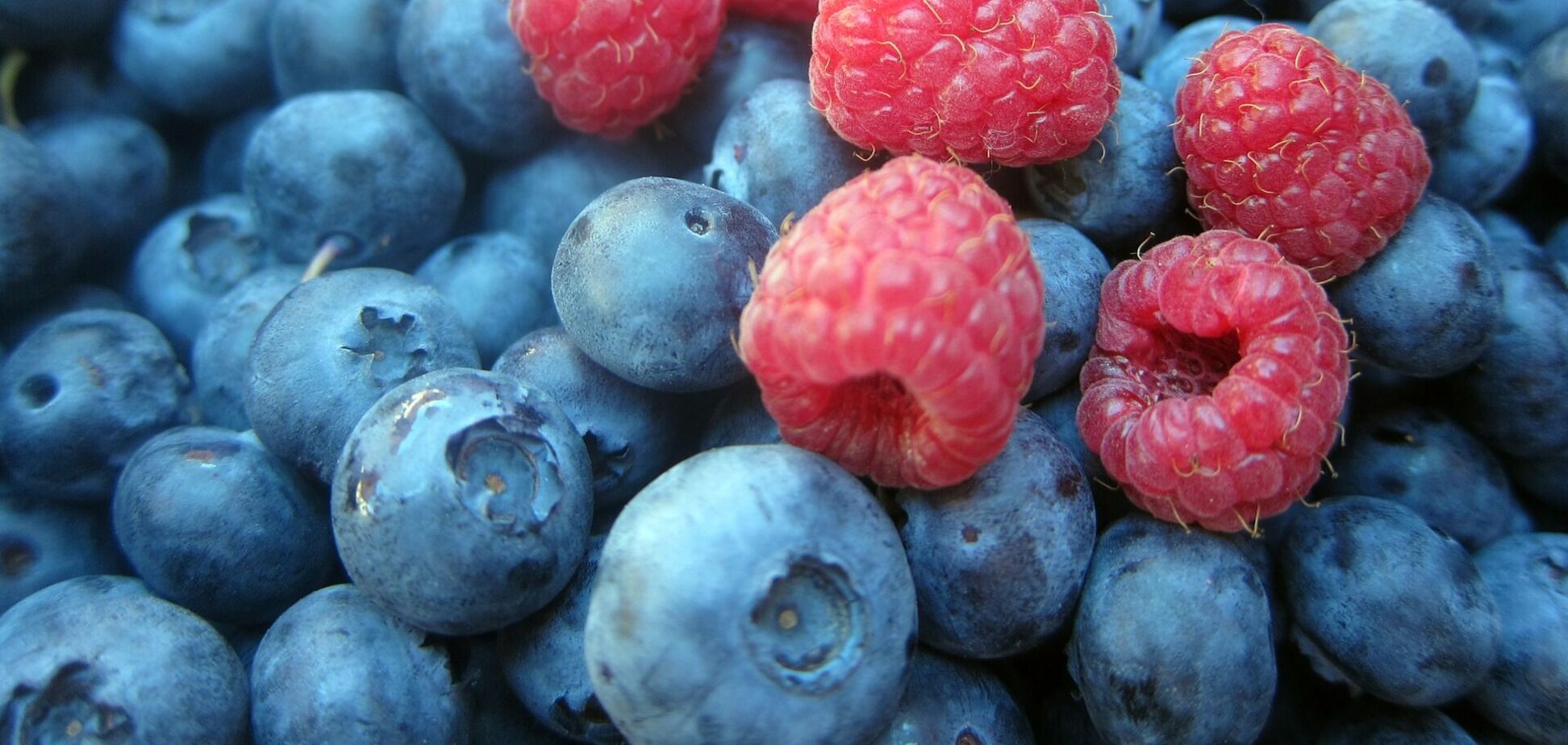 Украина заработала на экспорте плодов и ягод сотни миллионов долларов