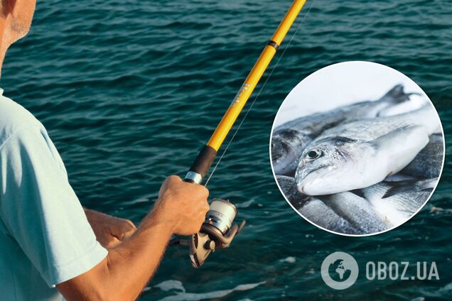 День рыбака ежегодно приходится на второе воскресенье июля