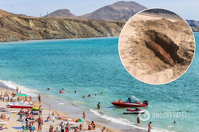 Трупы дельфинов закапывают в песке, на части пляжей купаться запрещено: свежие фото и видео из Крыма