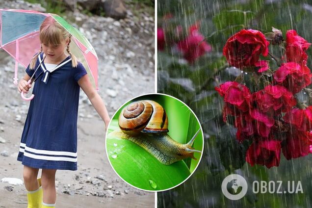 В Україні спека піде на спад, частину країни накриють грози та зливи: синоптики назвали дату