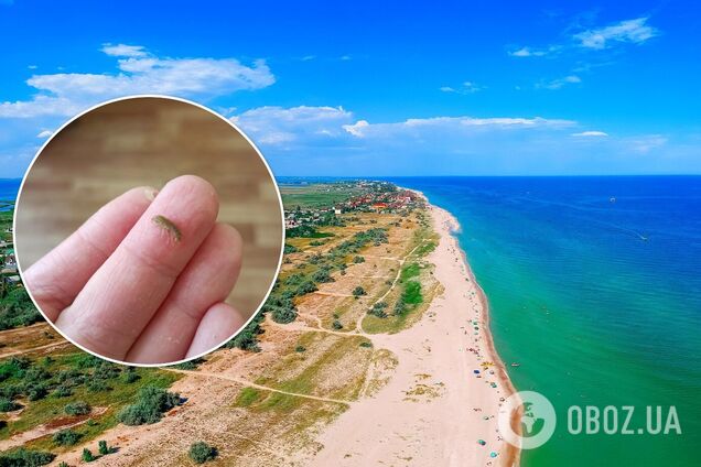 Отдых в Бердянске на Азовском море 2021