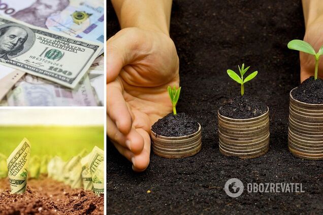 Земельна реформа – це не лише про ринок землі. Це про підтримку тих, хто на цій землі працює і живе