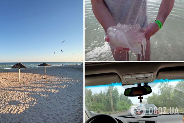 Туристы 'штурмуют' курортную Кирилловку, несмотря на появление медуз. Свежие фото и видео