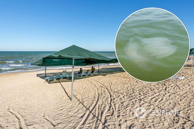 Купатися вже неприємно: туристи поскаржилися на навалу медуз в Азовському морі. Відео