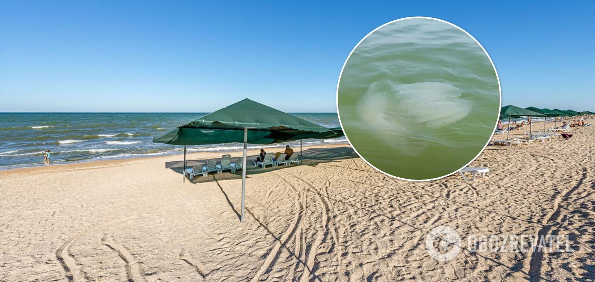 Купаться уже неприятно: туристы пожаловались на нашествие медуз в Азовском море. Видео