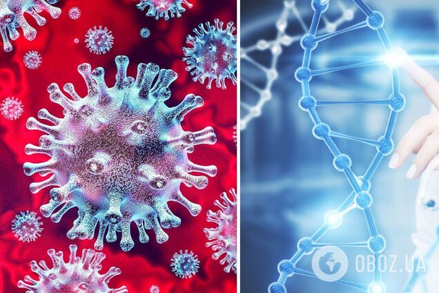 Ученые нашли доказательства, что пандемия коронавируса бушевала еще 20 тыс. лет назад
