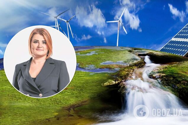 Украине грозят иски на 10 млрд долл. в случае введения акциза на зеленый ток, – Буймистер