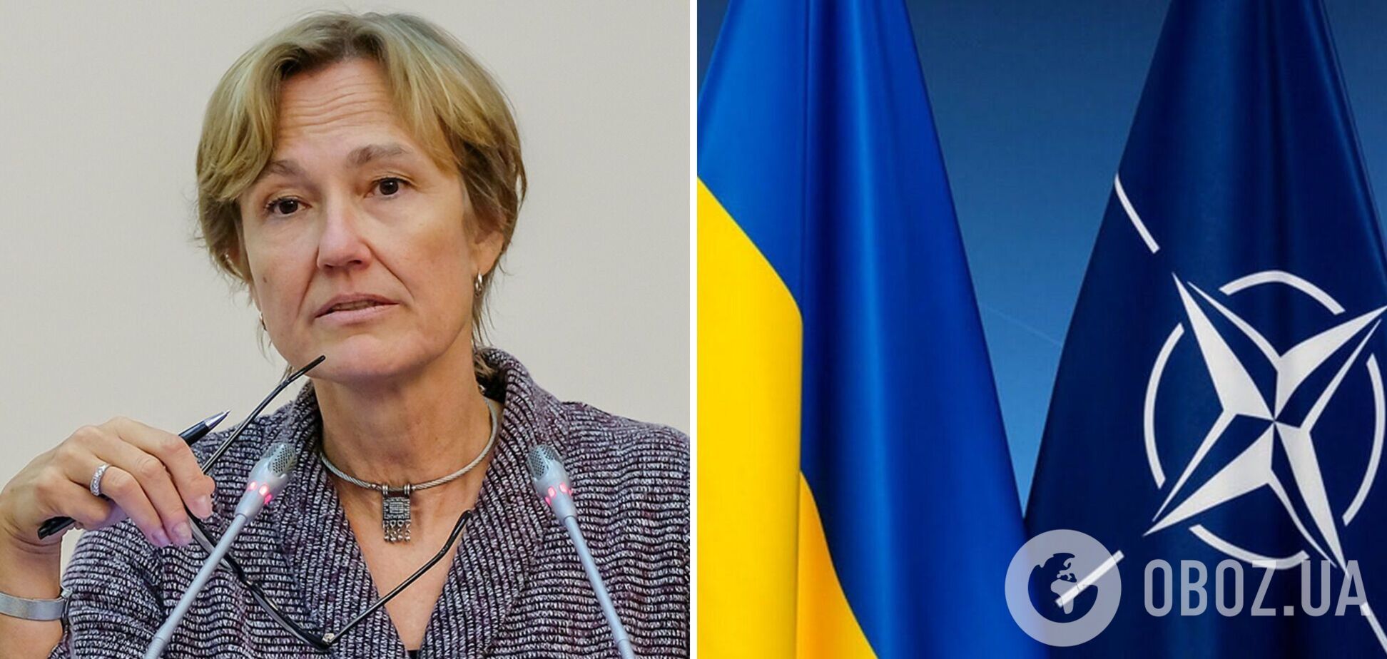 Посол Германии о перспективах вступления Украины в НАТО: нужен консенсус, все боятся войны