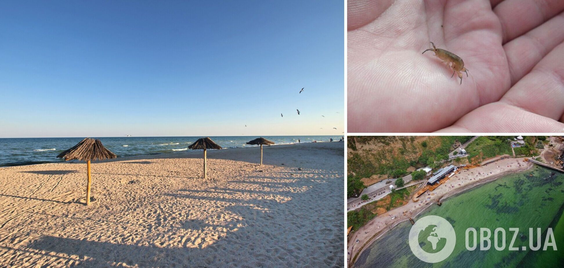 Отдохнуть можно дешево, но есть нюансы: туристы штурмуют Одессу, Бердянск и Кирилловку. Видео