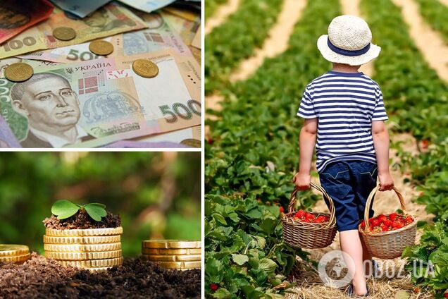 Власників городів змусять платити податки