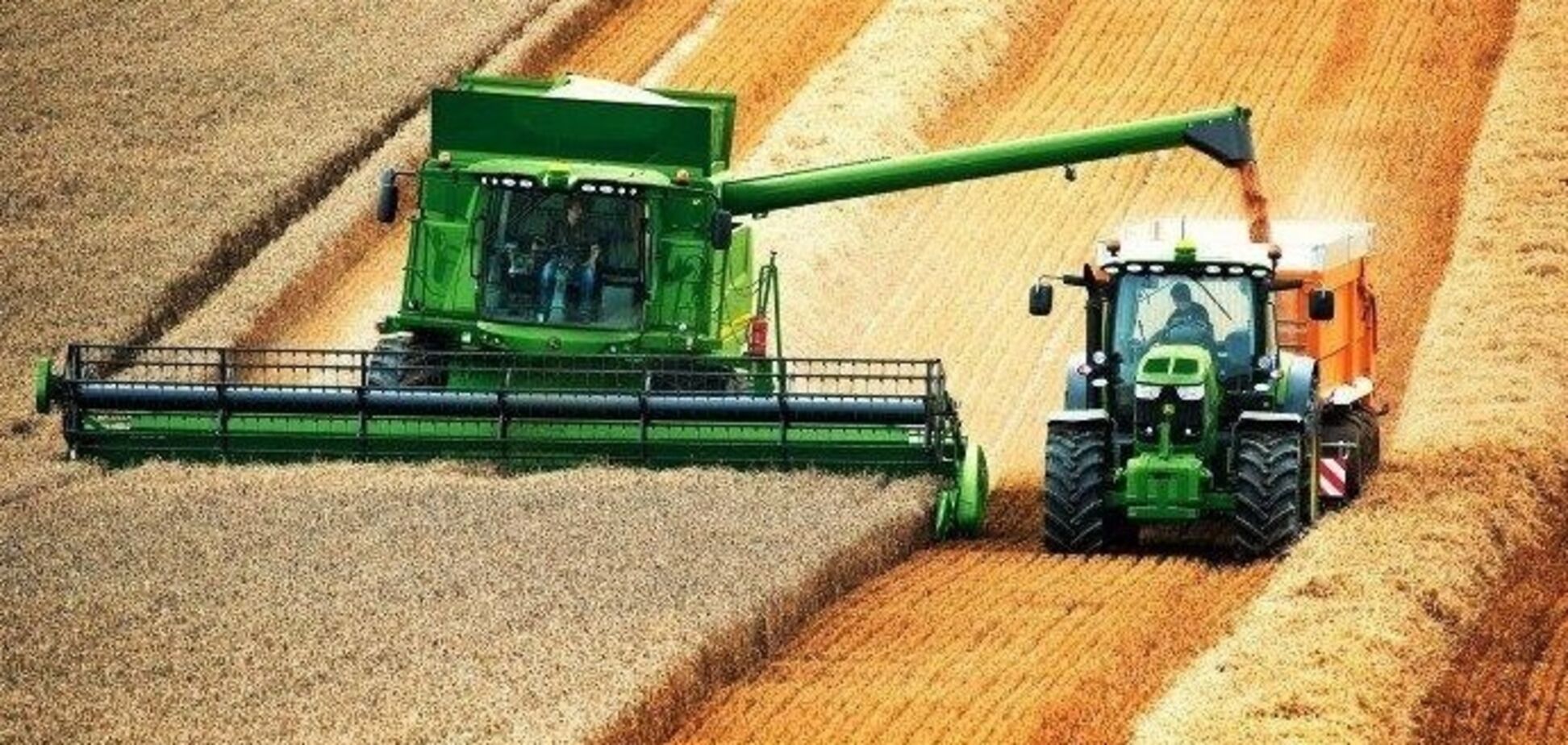 В Госстате раскрыли, кто в Украине зарабатываем больше всех