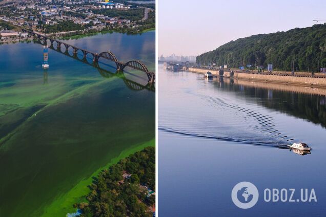 Река Днепр экокатастрофа: в воде опасные химвещества, тяжелые металлы