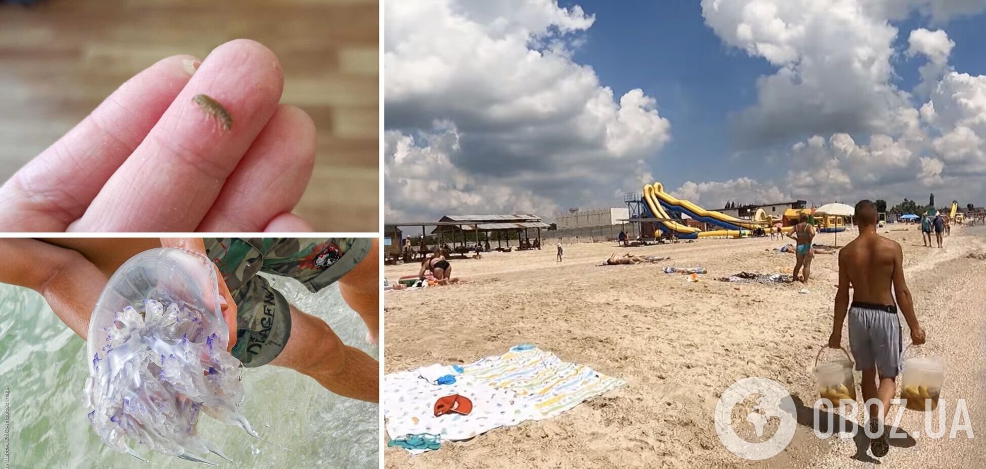 Туристи скаржаться на медуз, морських бліх і шахраїв