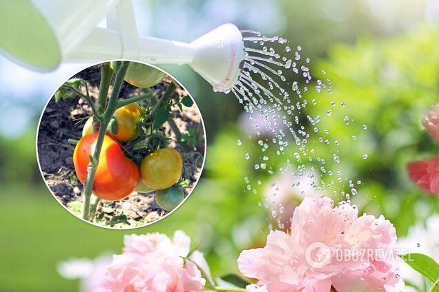 Лунный посевной календарь на июль 2021 года