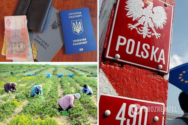 Зарплати для заробітчан у Польщі підвищать