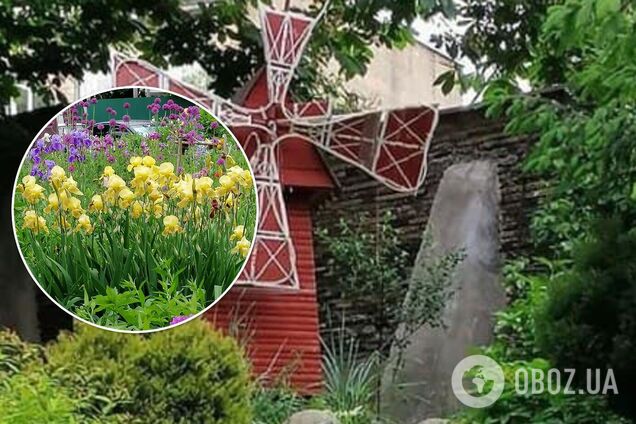 У Києві жінка перетворила двір на Печерську в прекрасний сад