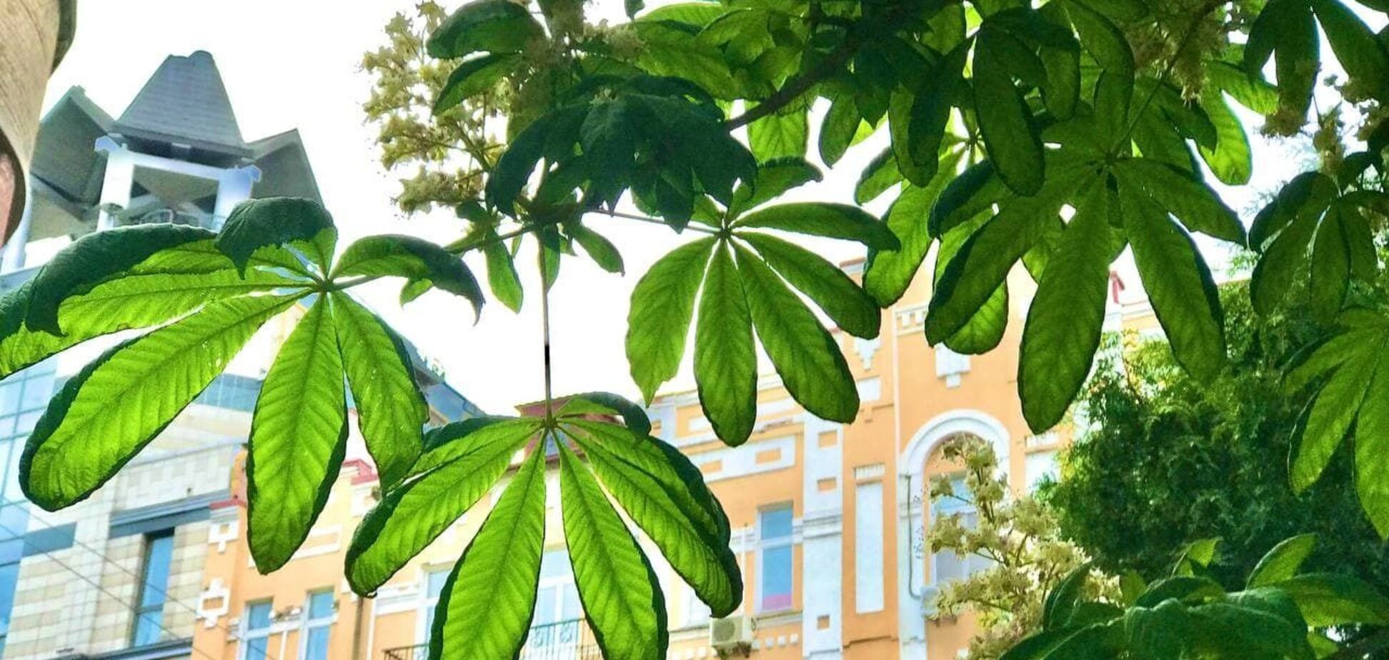 У Києві перейменують низку вулиць і провулків: перелік нових назв