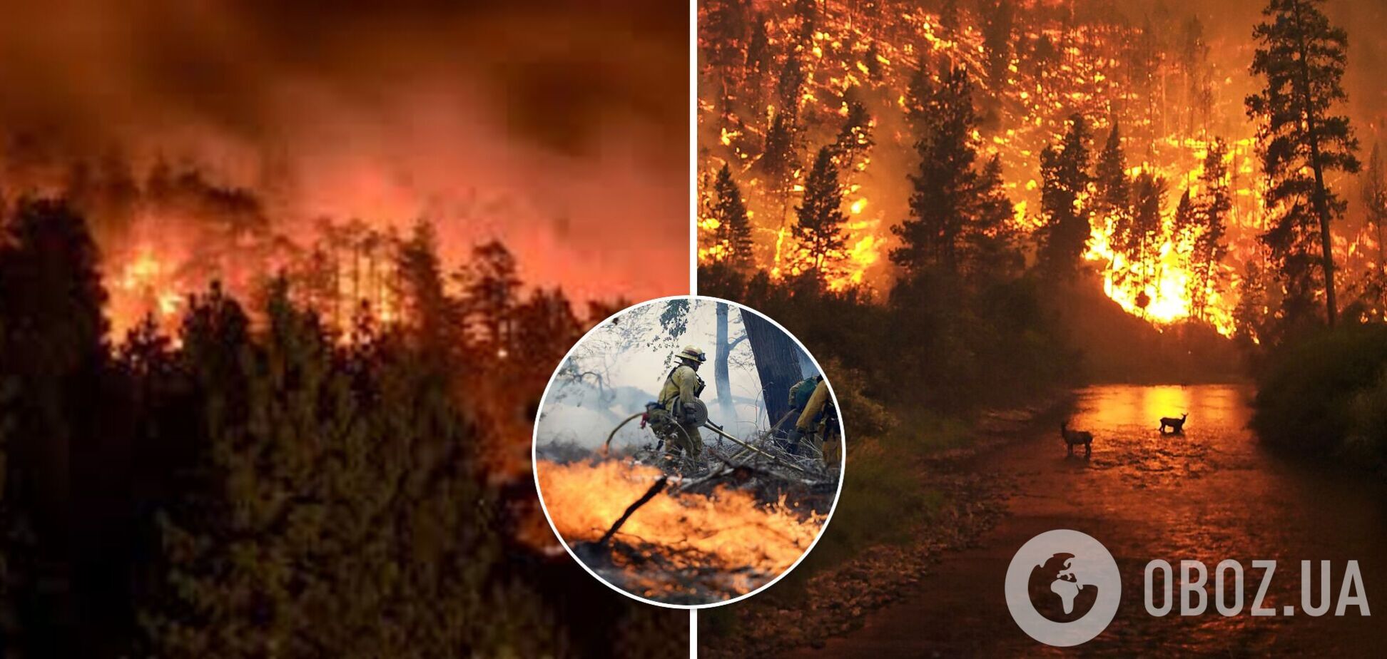 У Росії спалахнули масштабні лісові пожежі, небо набуло червоного кольору. Відео