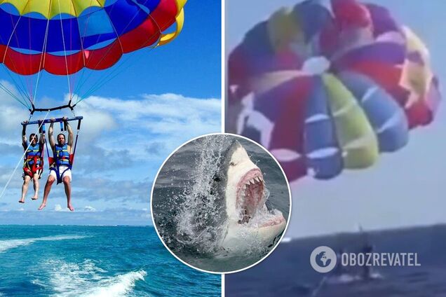 На курорте Красного моря акула выпрыгнула из воды и откусила пятку парапланеристу. Видео момента