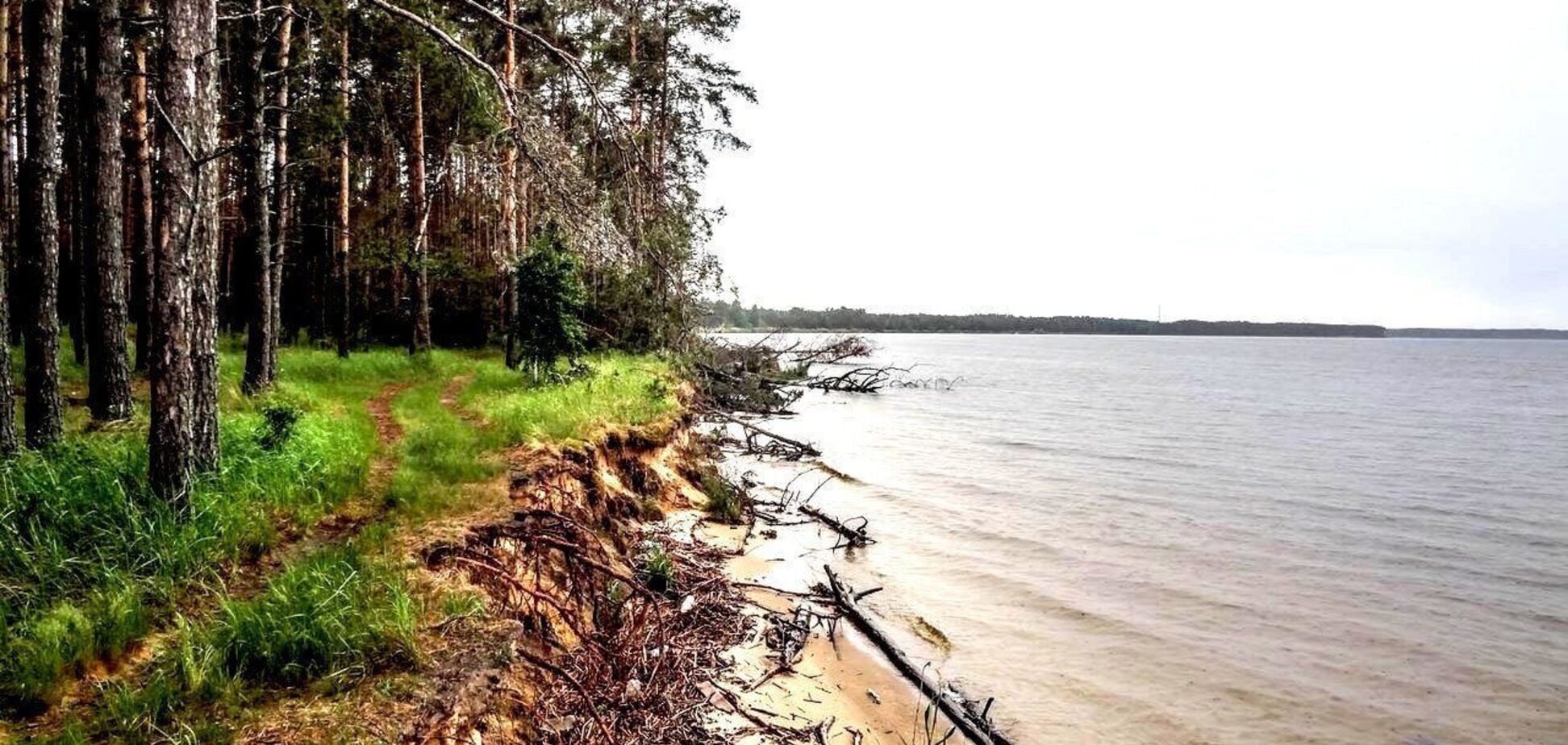 У лісах Києва облаштували 42 локації для пікніка: де можна відпочити. Карта