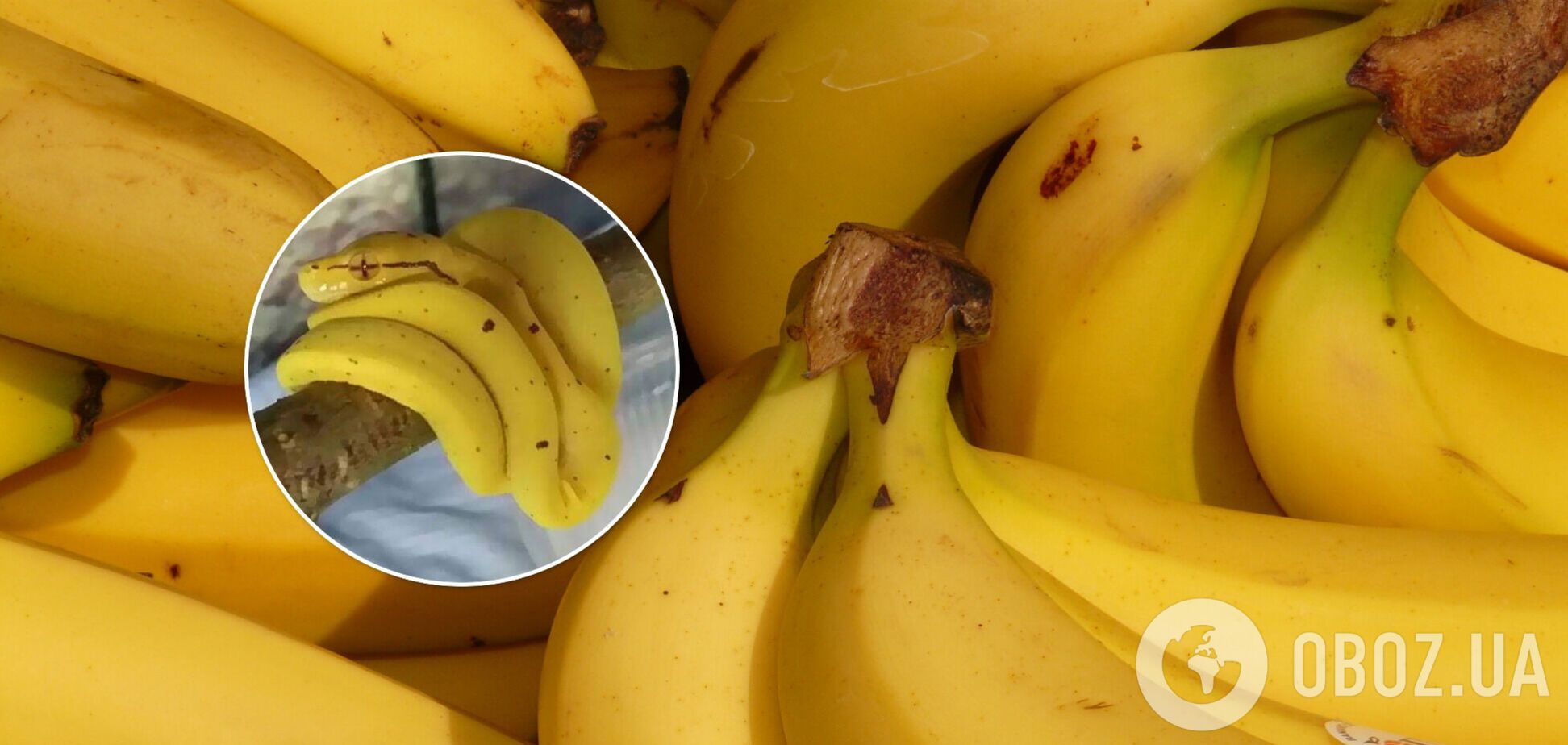 Оптическая иллюзия