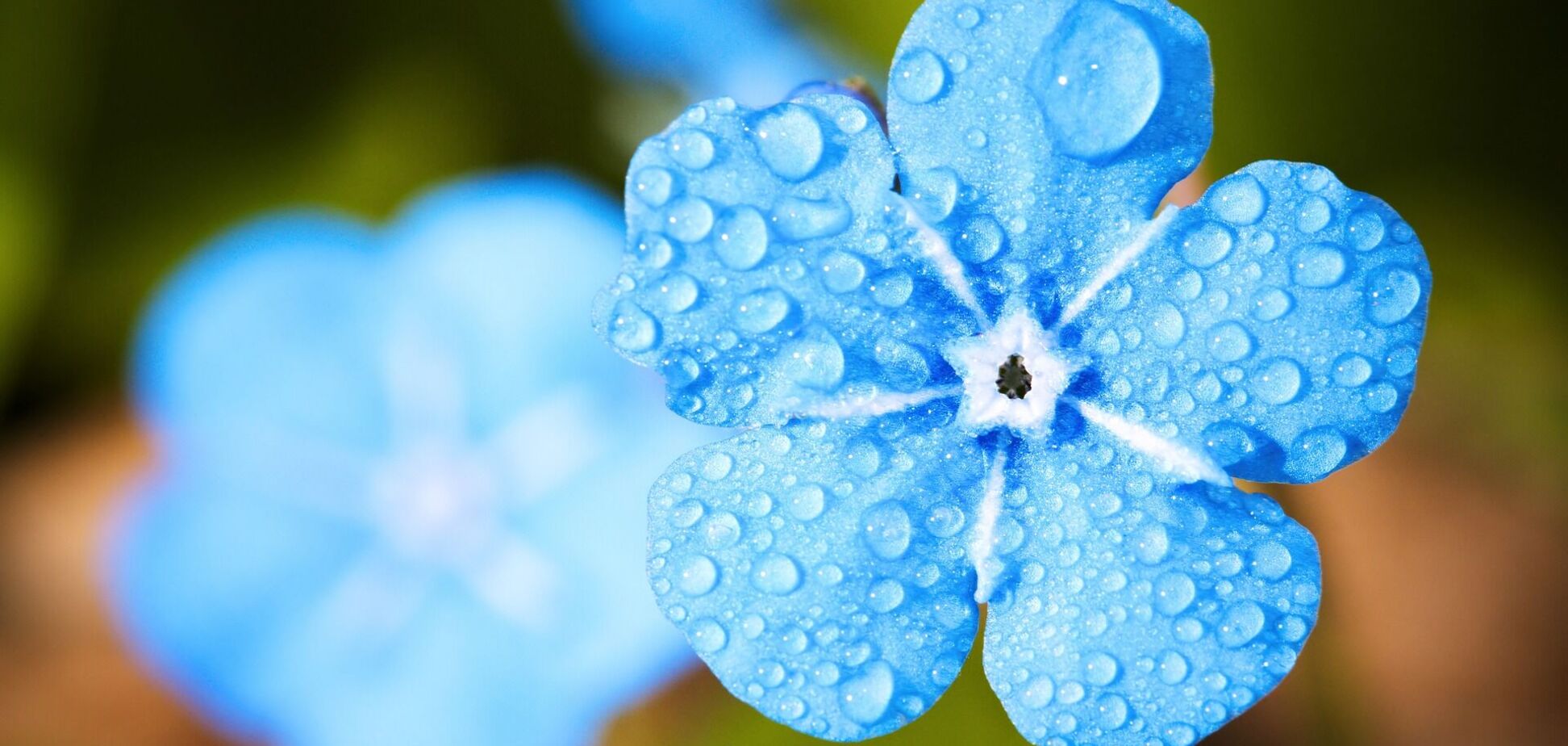 7 июня: праздники, приметы и именинники