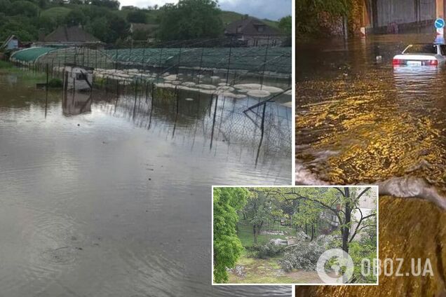 Маріуполь пішов під воду через потужні зливи: затопило будинки й вулиці. Фото і відео