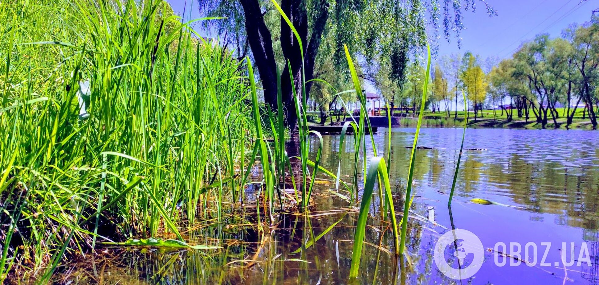 Швидкість вітру складе 7-12 м/с