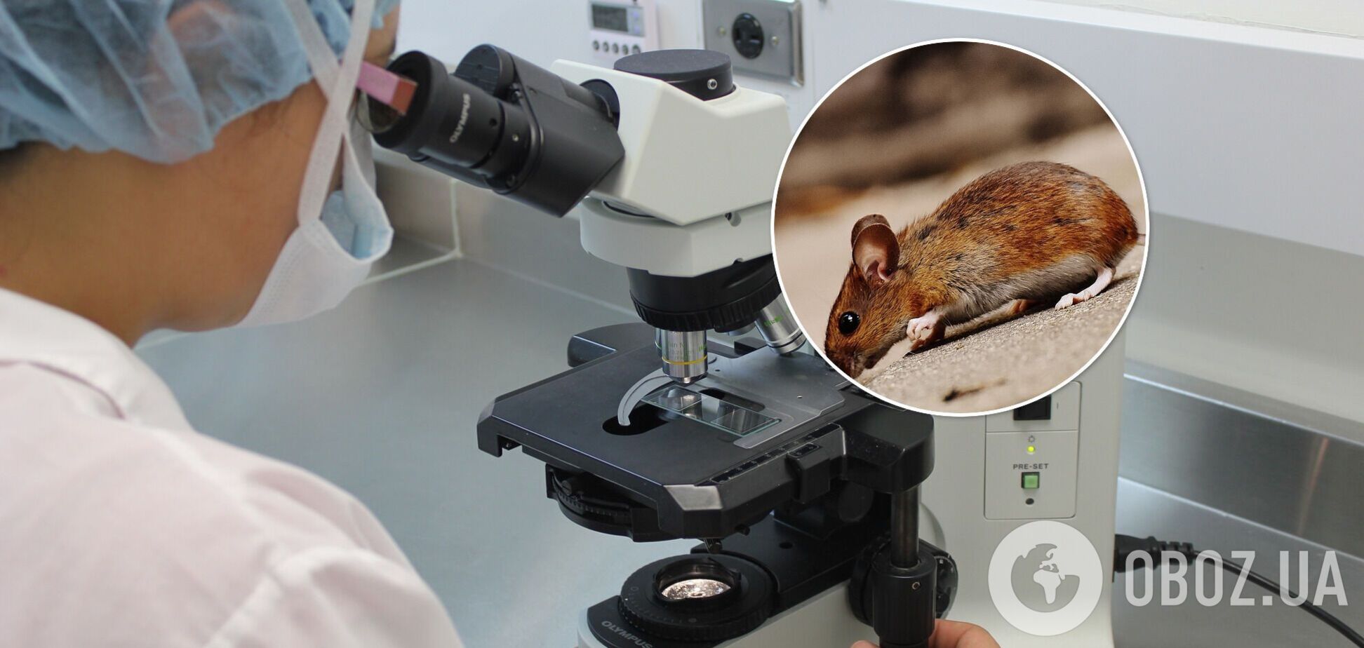 Продление жизни