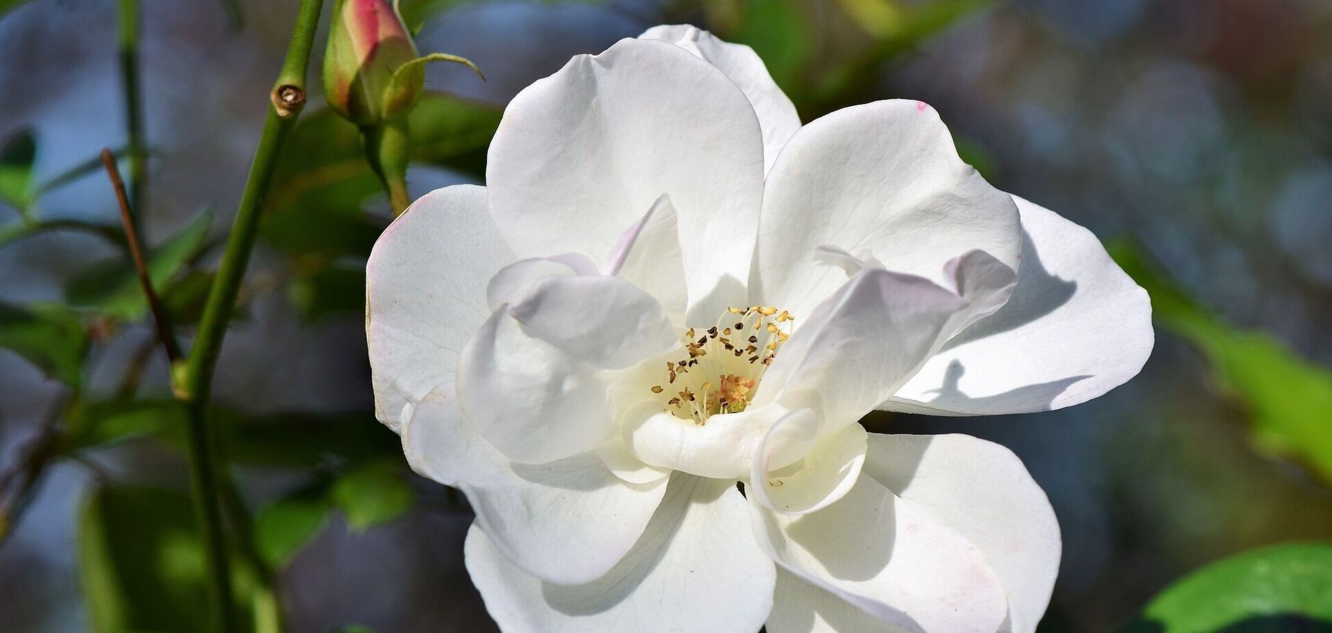 6 июня: что нельзя делать, приметы и именинники