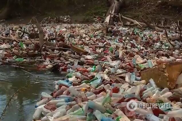 Украинцы превратили Тису в Карпатах в реку мусора: экологический ужас показали на видео