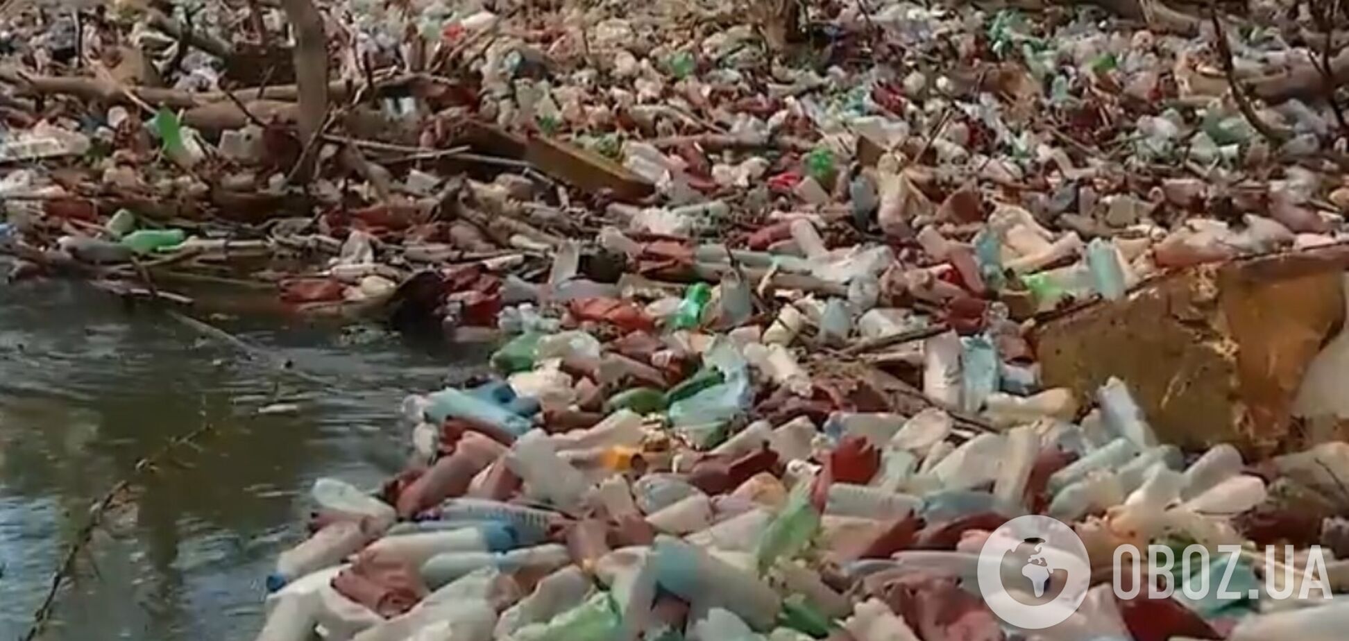 Українці перетворили Тису в Карпатах на ріку сміття: екологічне жахіття показали на відео