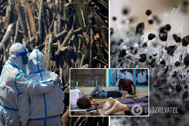 'Черный грибок' может поражать разные органы