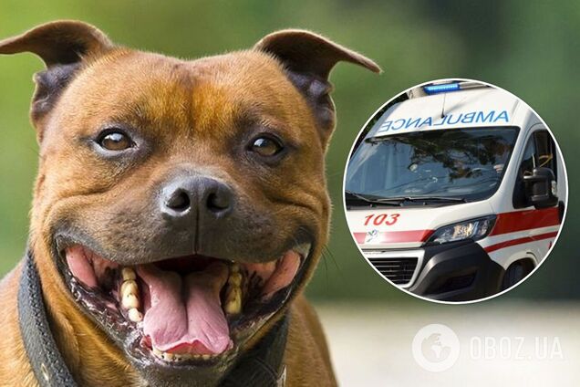 На Черкащині стафф напав на 5-річного хлопчика й тягав його по землі. Фото 18+