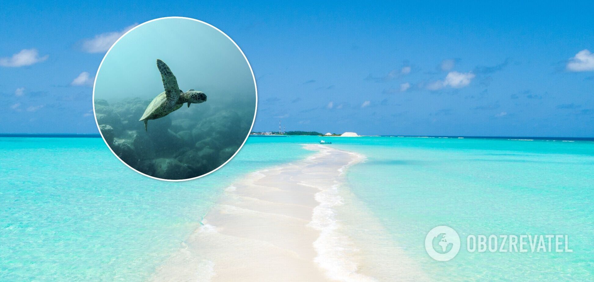 Всесвітній день океанів: топ-10 цікавих фактів про водну оболонку Землі