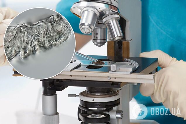 Ученые оживили червей, которые пролежали 24 000 лет в вечной мерзлоте. Видео