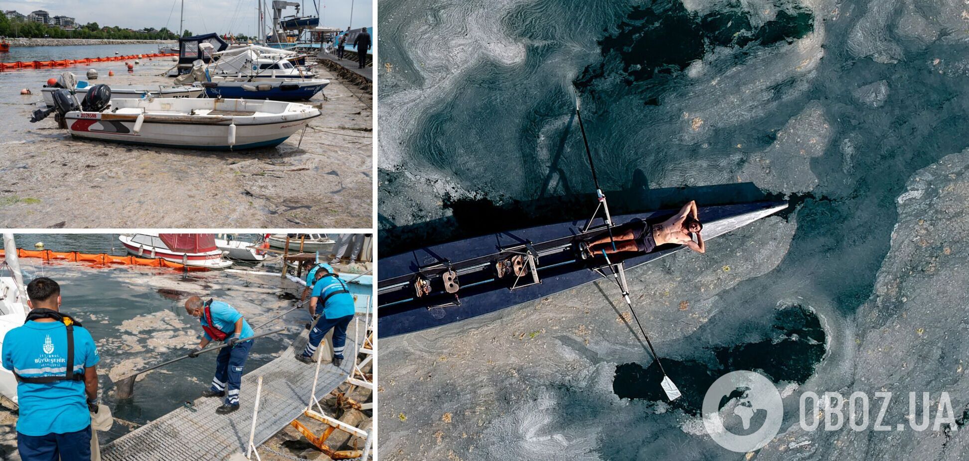 Из-за слизи в море гибнет рыба