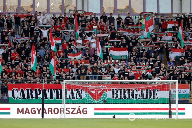Фанаты сборной Венгрии