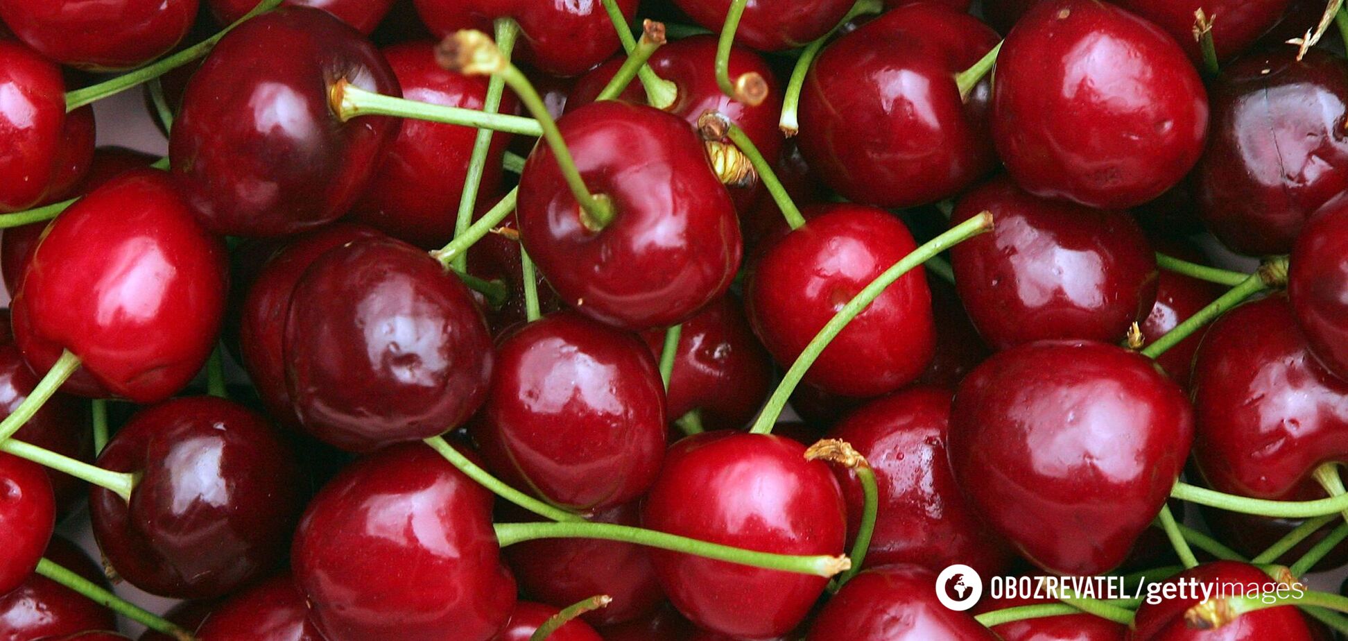 В Украине могут взлететь цены на черешни, абрикосы и сливы: урожай под угрозой исчезновения