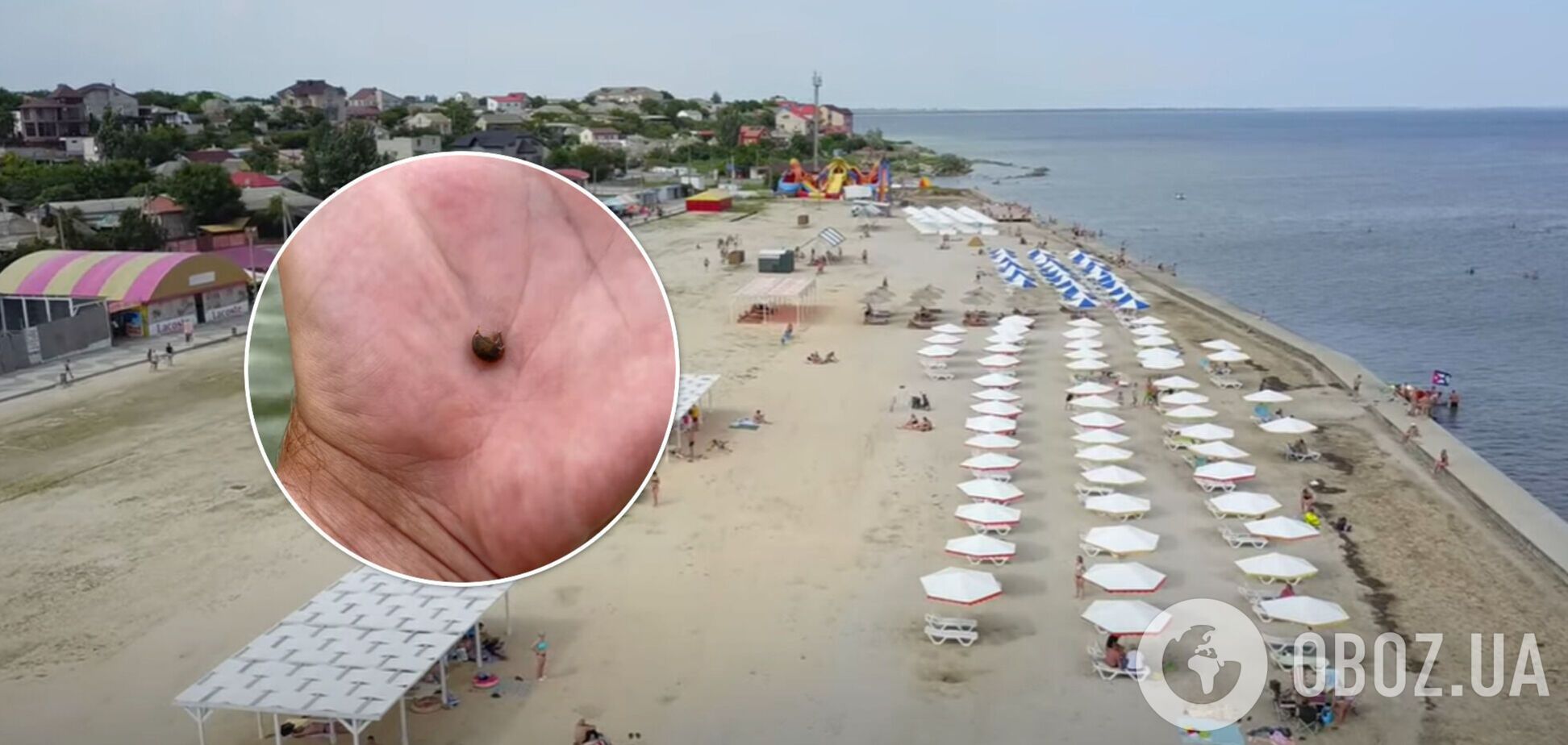 Море блох, медузы, а людей – почти нет: туриста неприятно удивил отдых в Геническе. Фото и видео