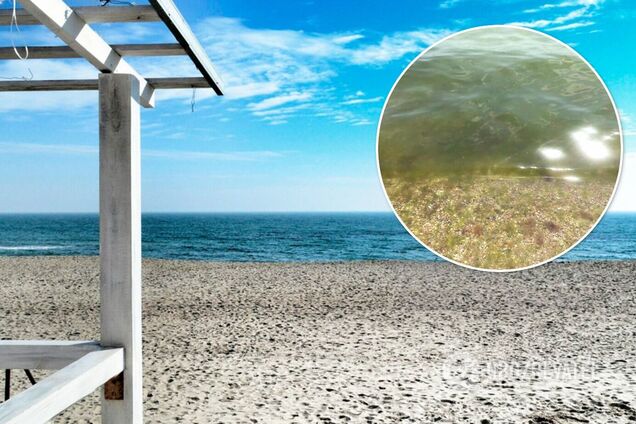 В Одесі море змінило колір і перетворилося на 'кашу'. Відео