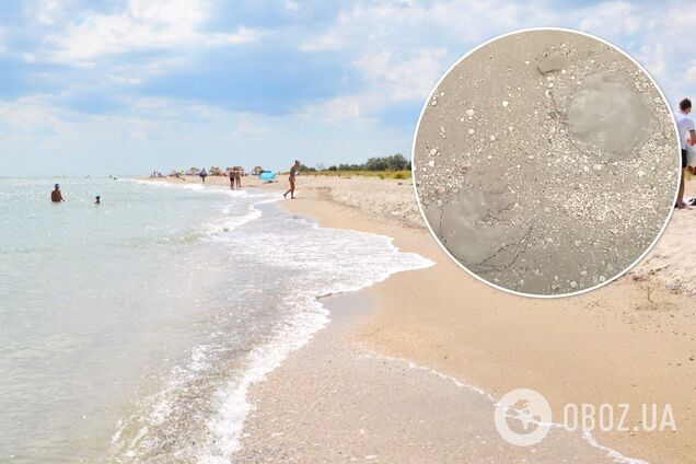 В Бердянске сняли на видео нашествие медуз